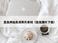 五指山昆虫网站高清照片素材（昆虫图片下载）